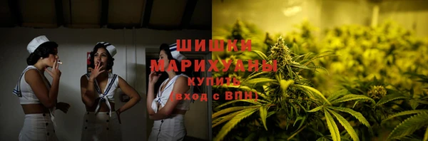 сатива Вяземский