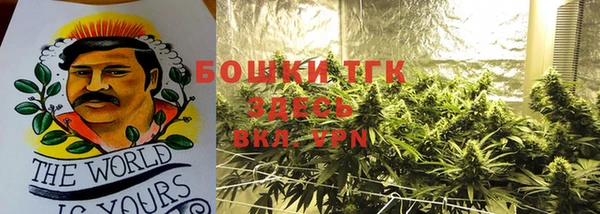 сатива Вяземский
