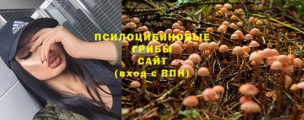 PSILOCYBIN Вязьма