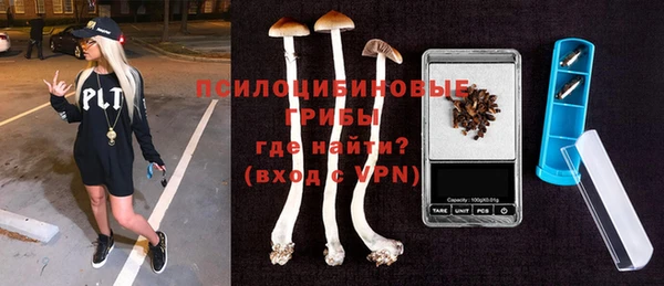 сатива Вяземский