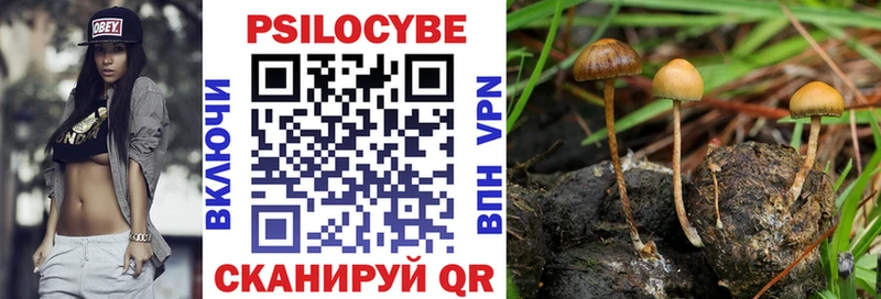 Псилоцибиновые грибы Magic Shrooms  Михайлов 